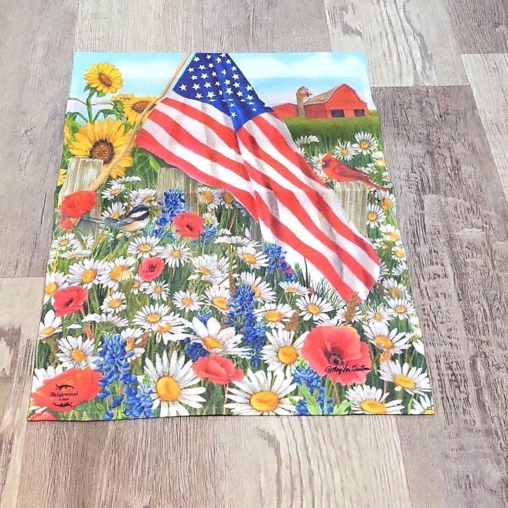 Memorial Day or July 4th Flag